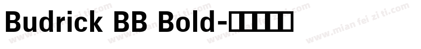 Budrick BB Bold字体转换